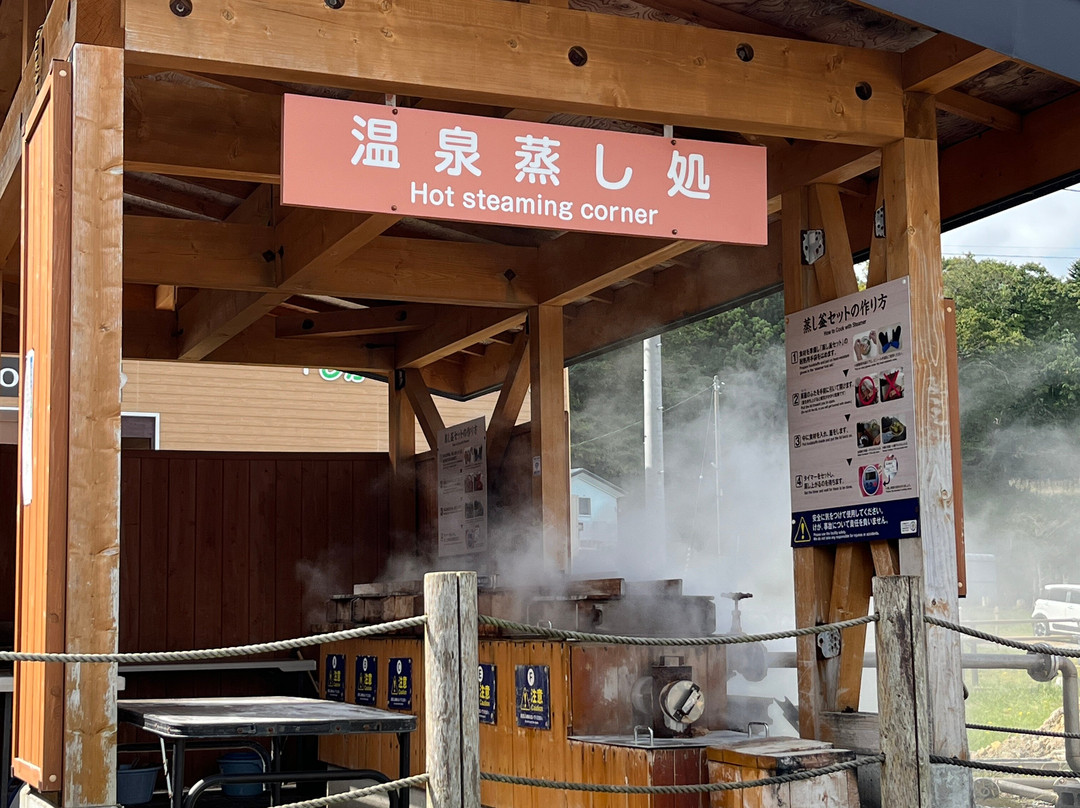 Michi-no-Eki Shikabe Geyser Park-鹿部町必去景点