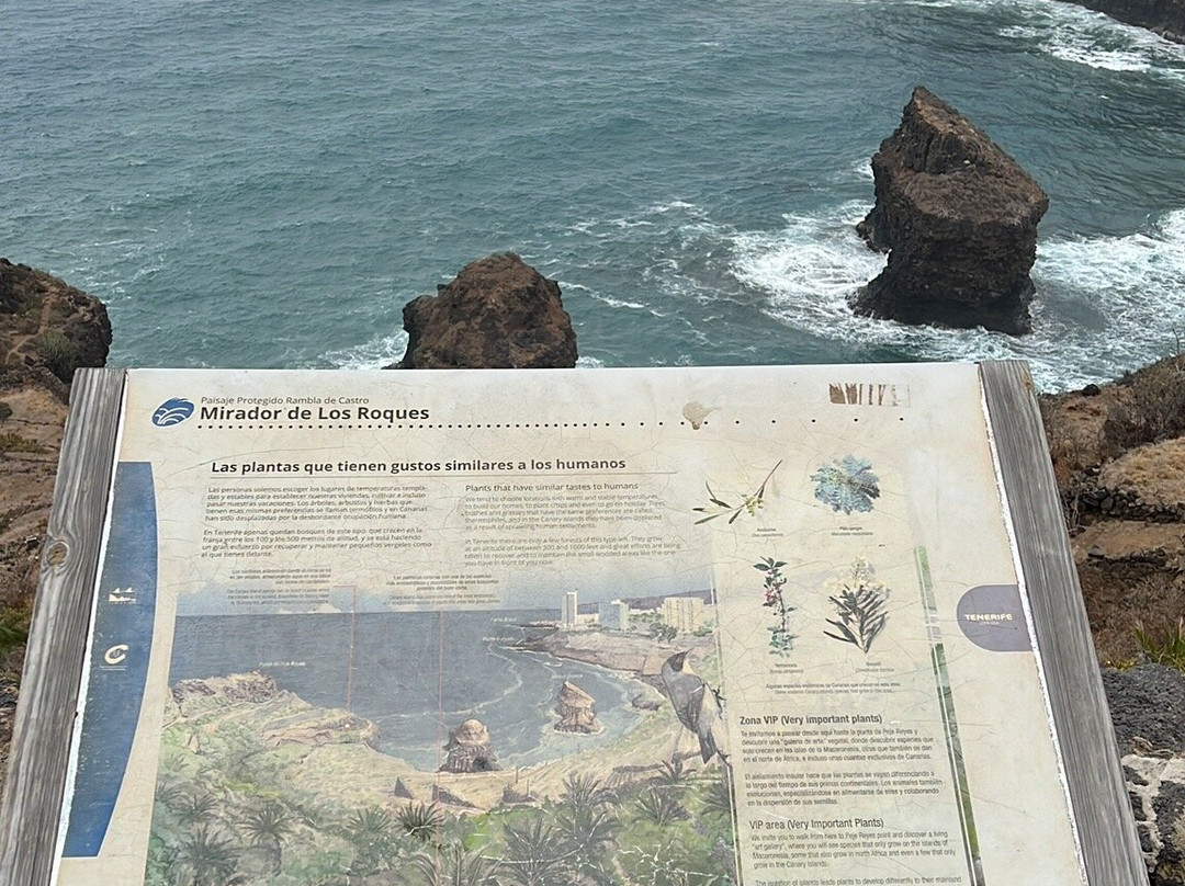 Playa De Los Roques-San Juan de la Rambla必去景点