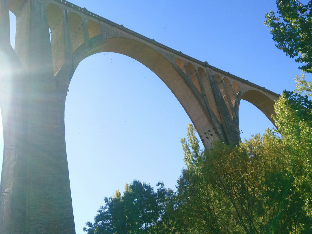 Viaducto De Guadalupe景点图片