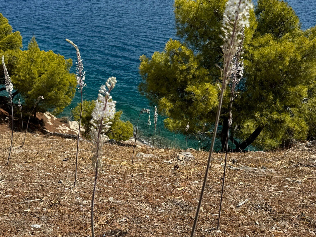 Ancient Town of Ermioni-Ermioni必去景点