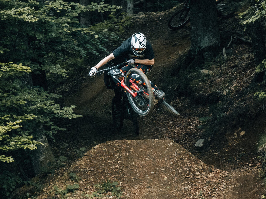 Bike Park Pohorje Maribor-马里博尔必去景点
