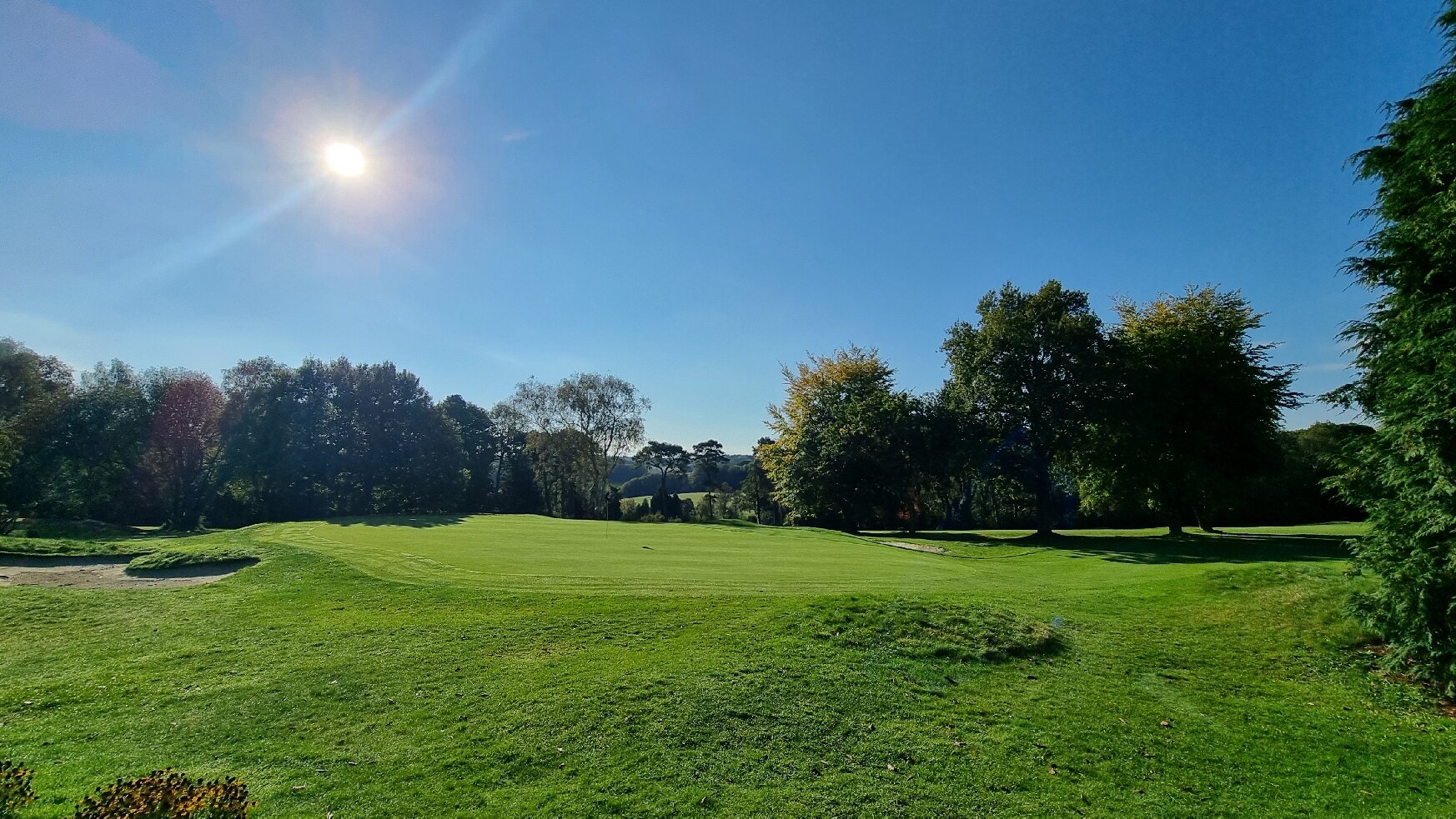 The Lodge at Kingswood-官方