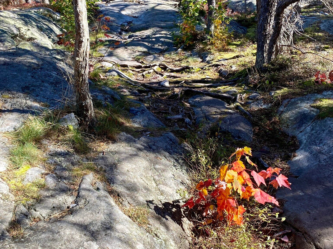 Sentier du cabouron-Saint-Germain必去景点