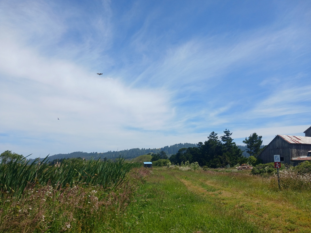 Humboldt Bay National Wildlife Refuge Complex景点图片