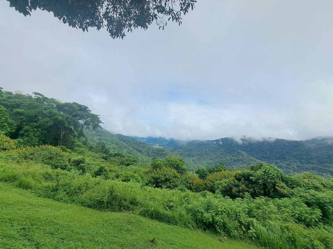 Khao Yai : Rest Journey景点图片
