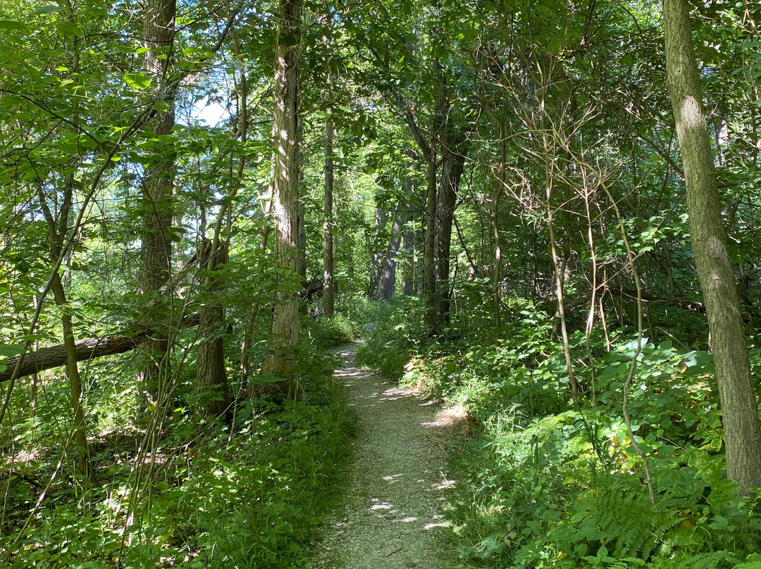 Sheldon Marsh State Nature Preserve-Huron必去景点