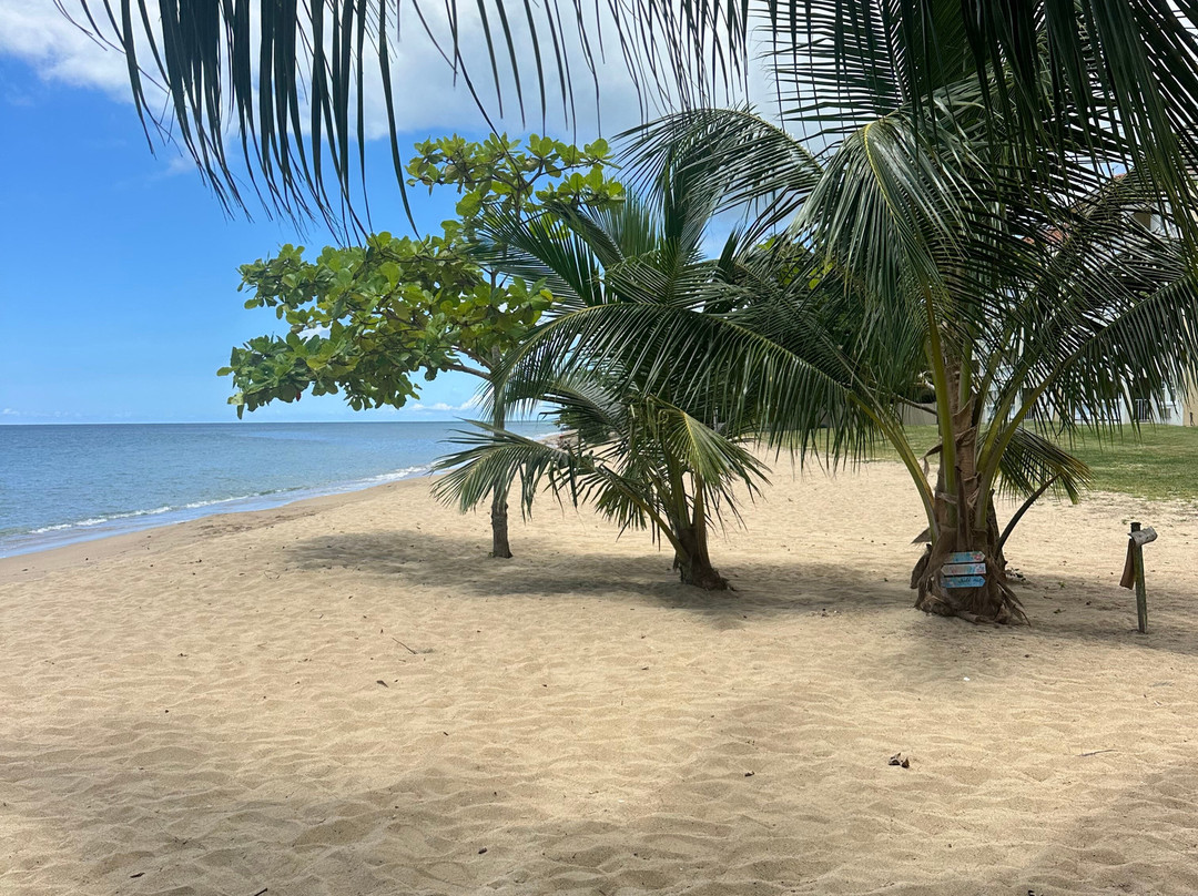 Rincon Waves Hydroflights-吕康必去景点