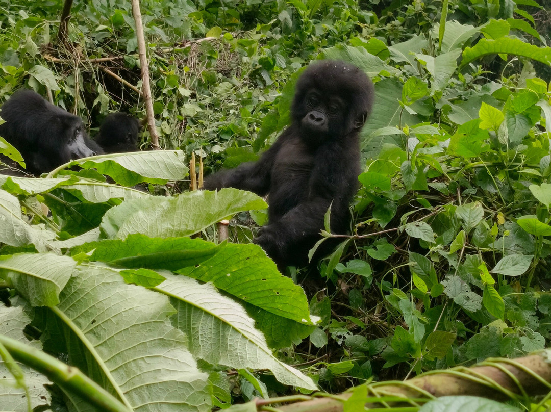 BIC Tours-坎帕拉必去景点