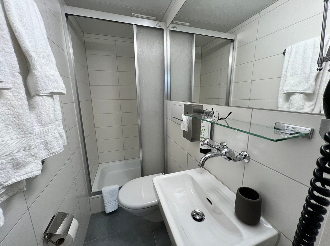 Hotel Krone by b_smart主图