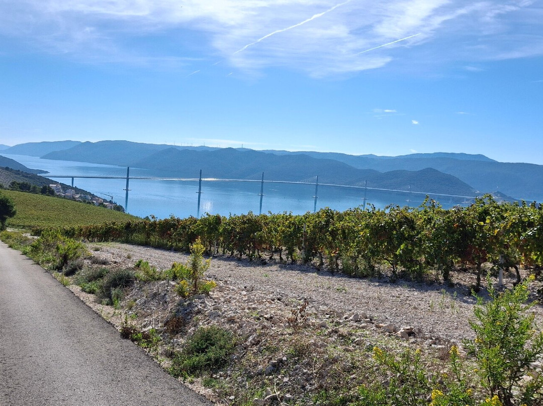 Terra Madre Winery景点图片