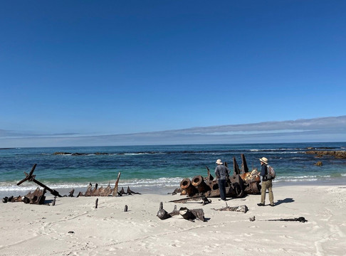 Hiking In The South-开普敦必去景点