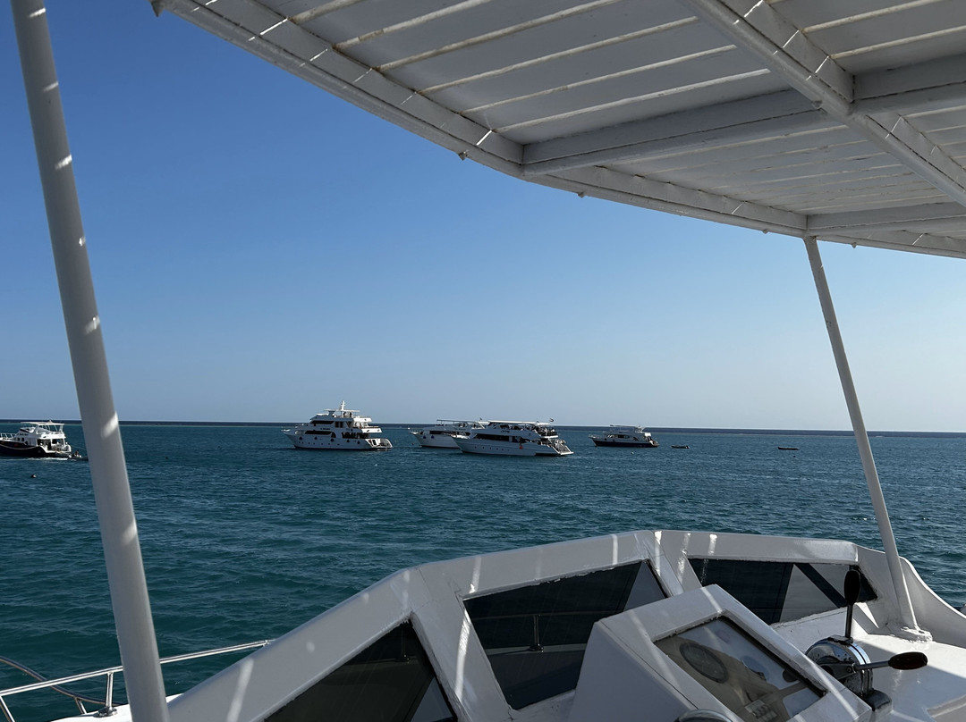 Dolphin House - Shaab Samadai-马萨阿拉姆必去景点