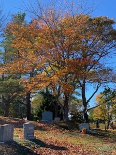 Riverside Memorial Cemetery-开普伊丽莎白必去景点