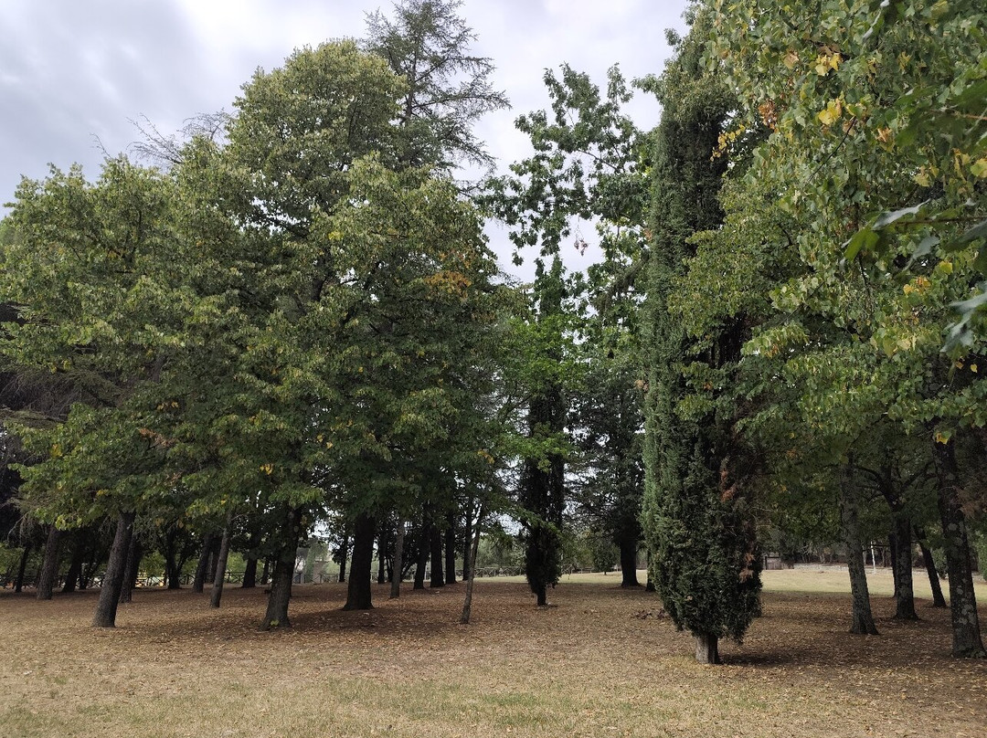 Parco Colle del Pionta景点图片