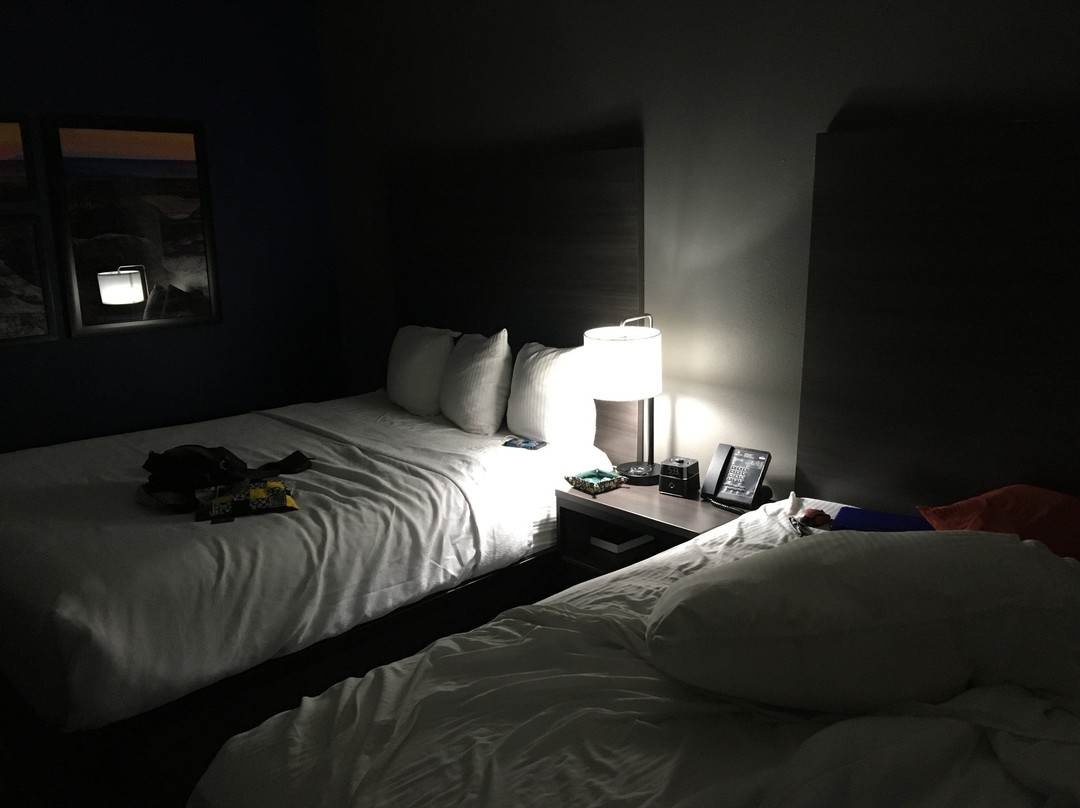 La Quinta Inn & Suites by Wyndham Holbrook Petrified Forest主图