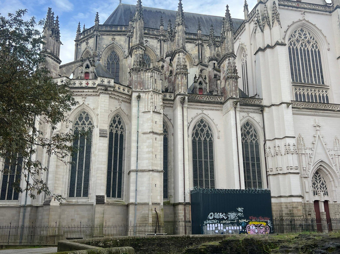 Basilique Saint Nicolas景点图片