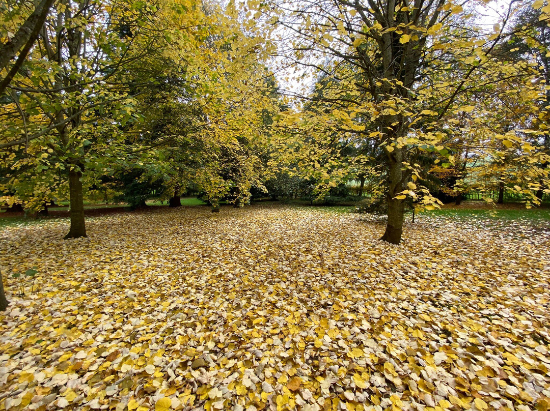Arley Arboretum & Gardens景点图片
