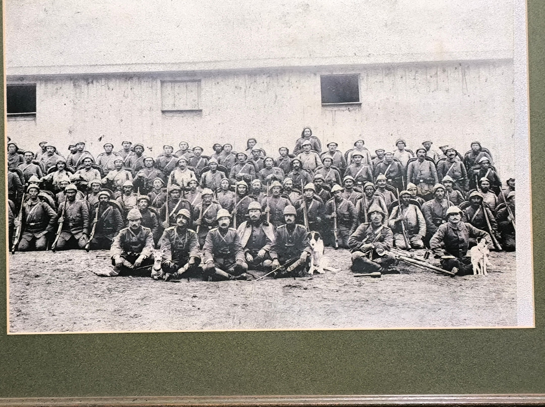 The Gallipoli Houses主图