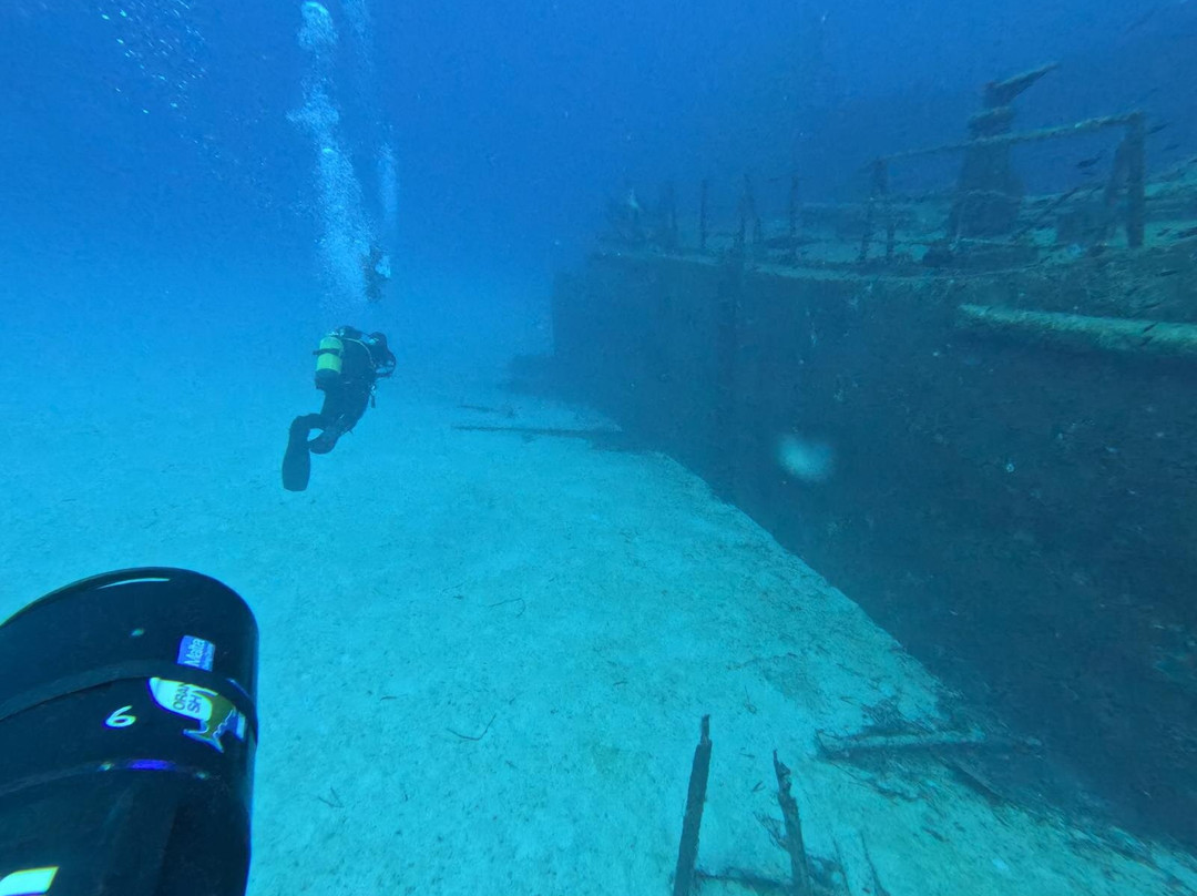 Orangeshark Diving Centre-梅雷赫必去景点