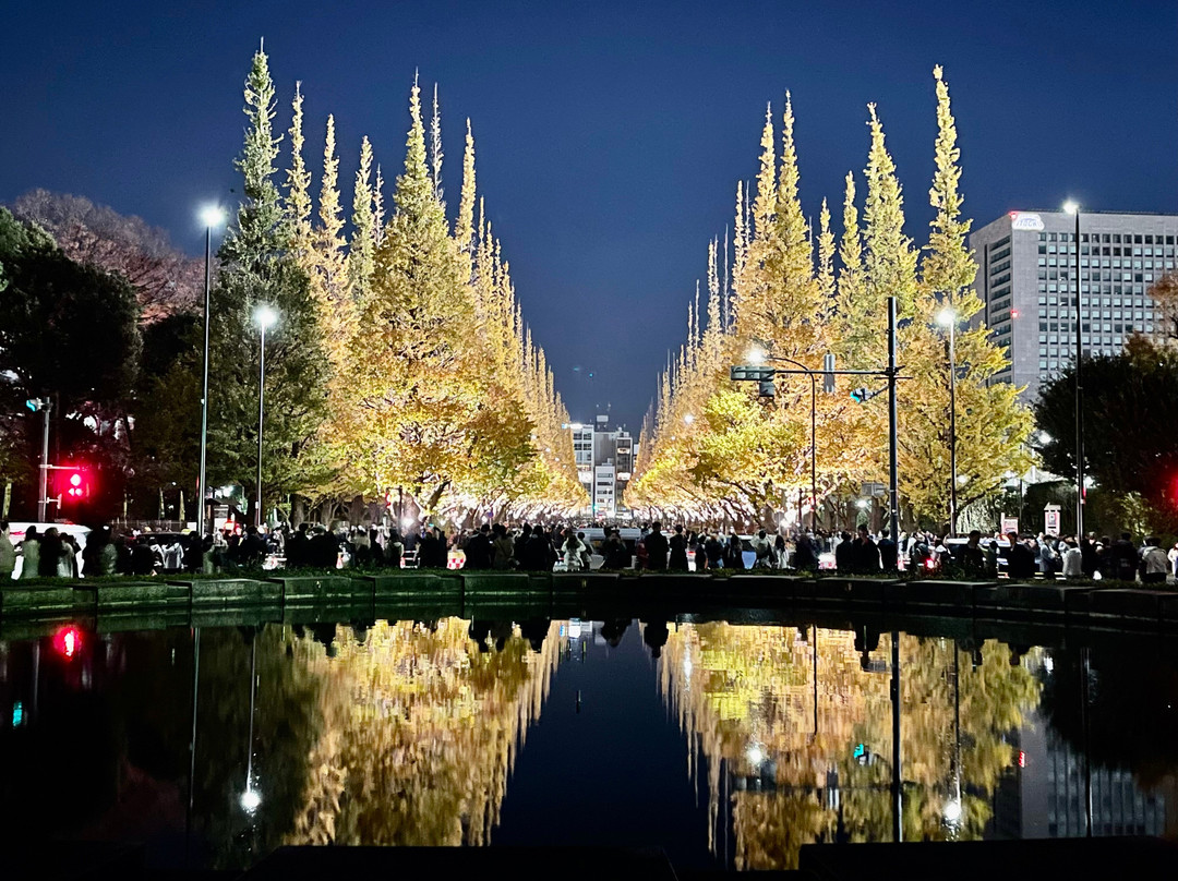 Jingu Gaien Ginkgo Tree-lined Street-港区必去景点