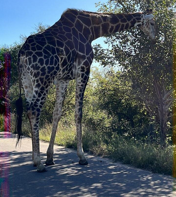 Thula Seats-白河必去景点