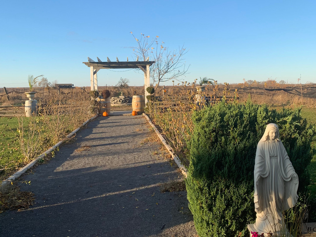 TerraCello Winery景点图片