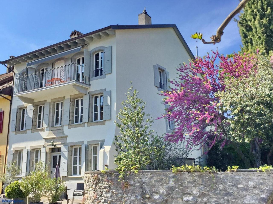 Le Cinquante Quatre