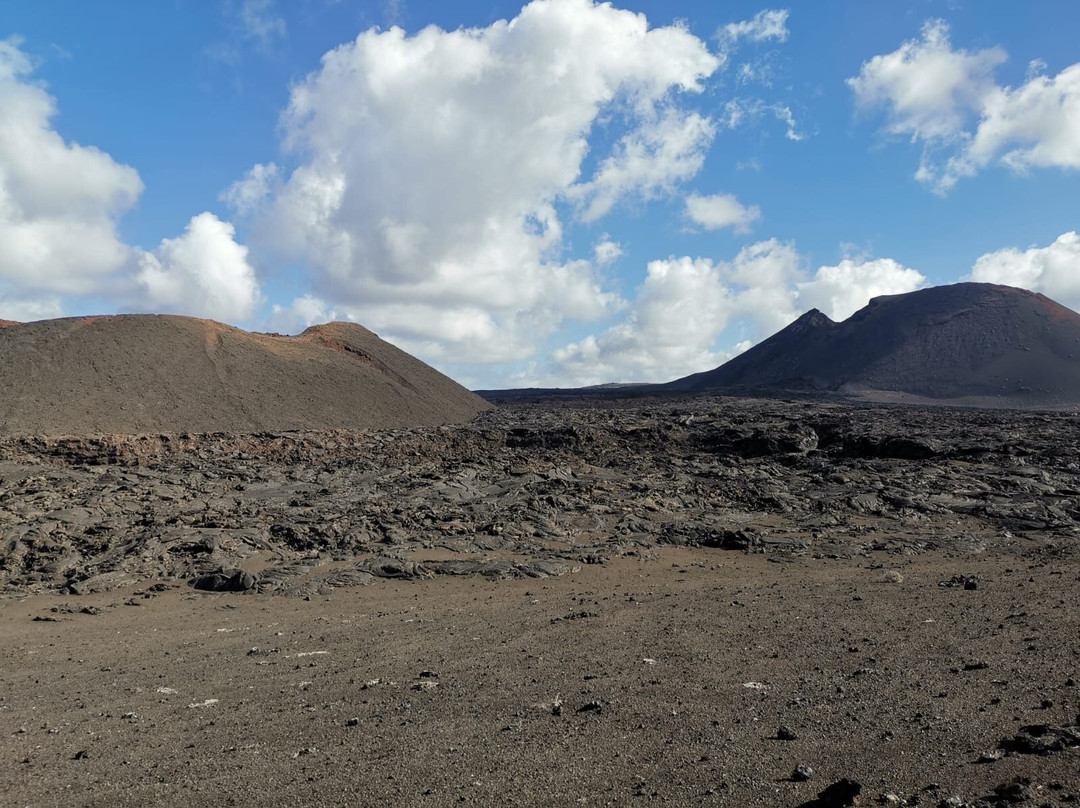 Ruta Tremesana
