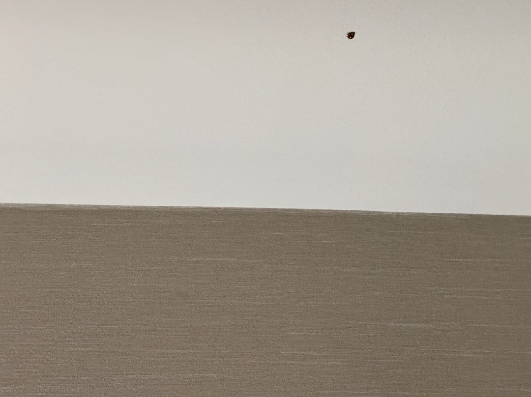 Hampton Inn & Suites By Hilton Nashville North Skyline主图