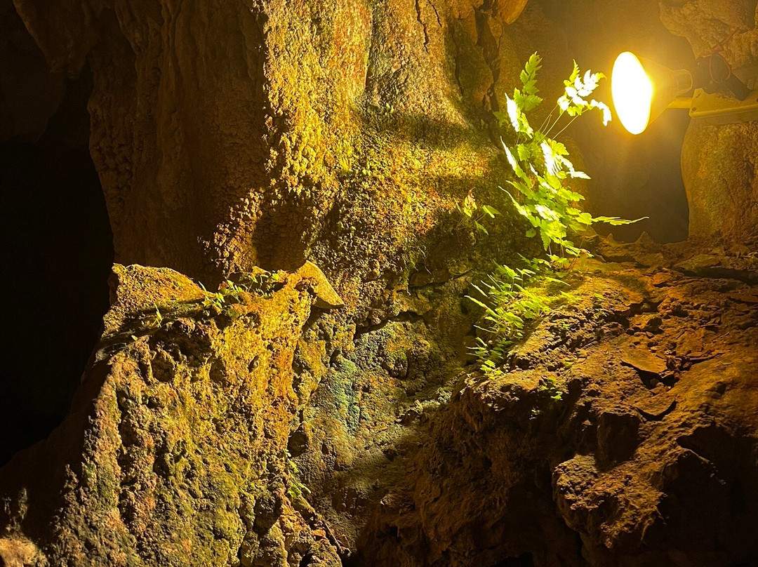 Tham Chang Cave-旺阳必去景点