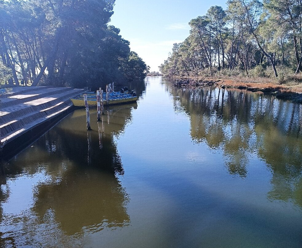 Bashtove酒店住宿-Pelikan