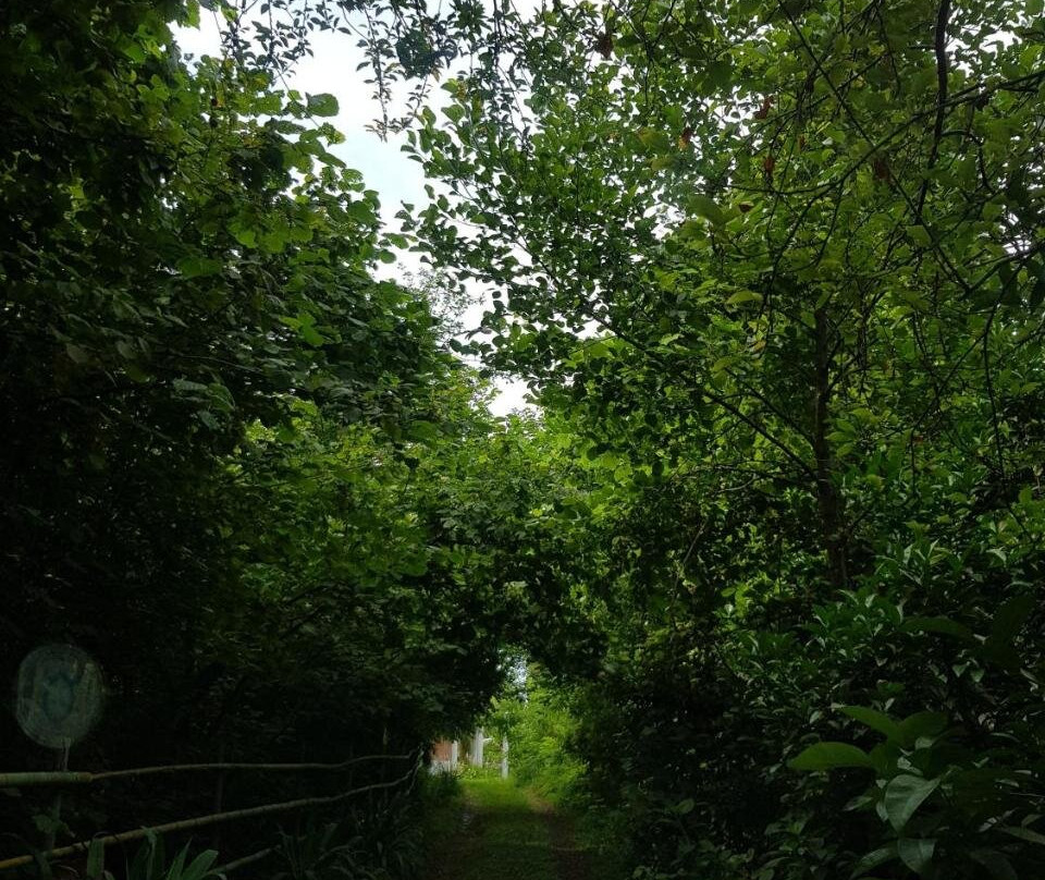 查克维塔泽生态旅馆