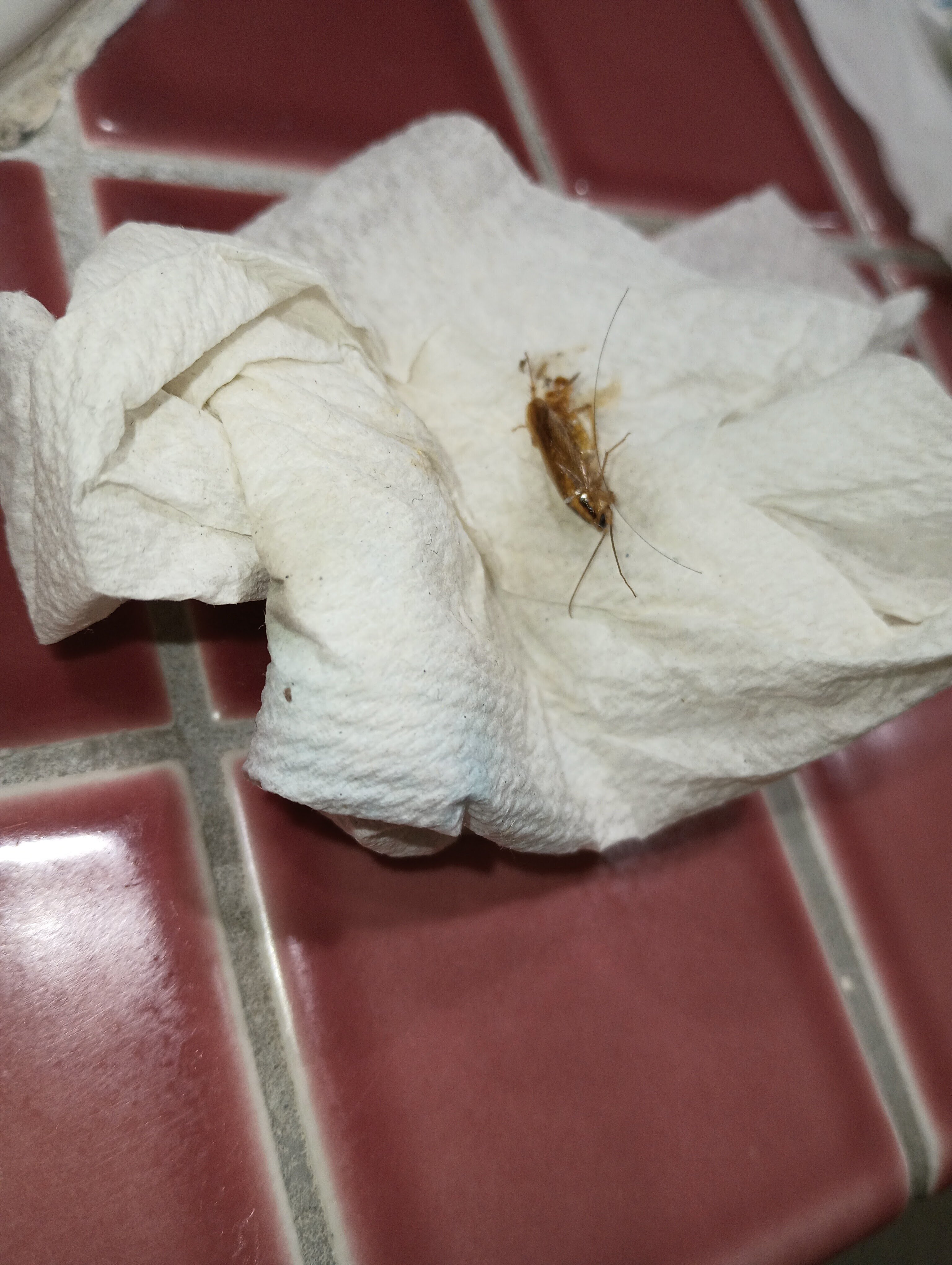 库西欧悦酒店-浴室