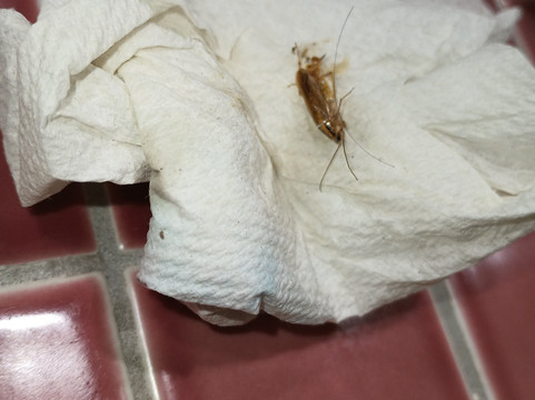 库西欧悦酒店主图