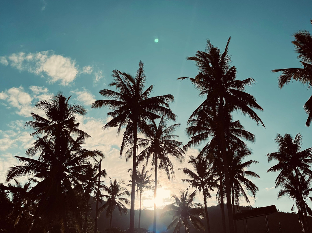 Nagtabon Beach景点图片