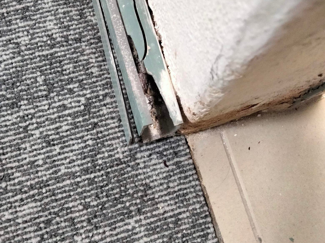 胡勃舒适套房酒店主图