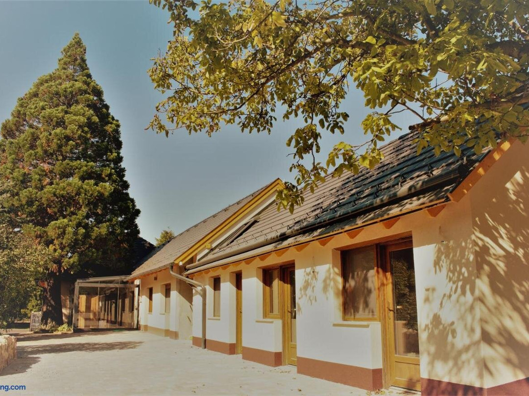 Mamutfenyo Panzio