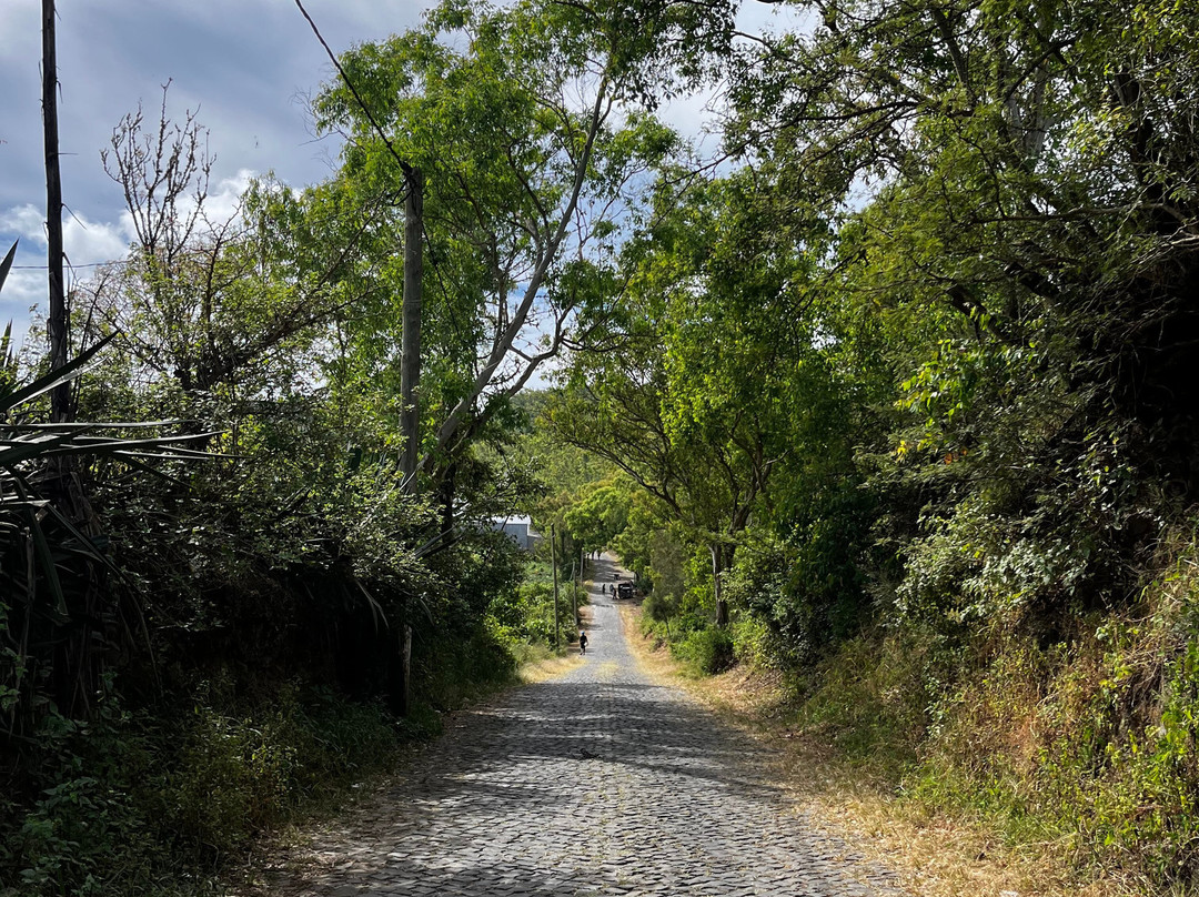 Quinta da Montanha Hotel主图