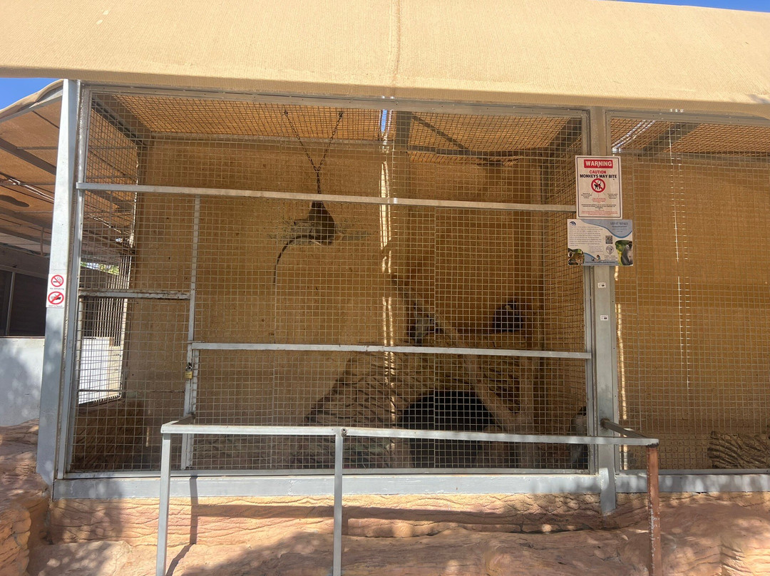 Hurghada Grand Aquarium-赫尔格达必去景点