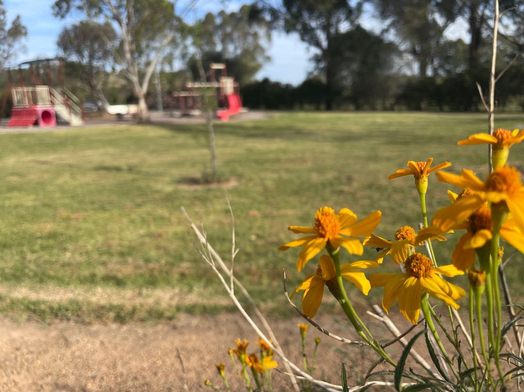 Dixon's Creek Reserve-Dixons Creek必去景点