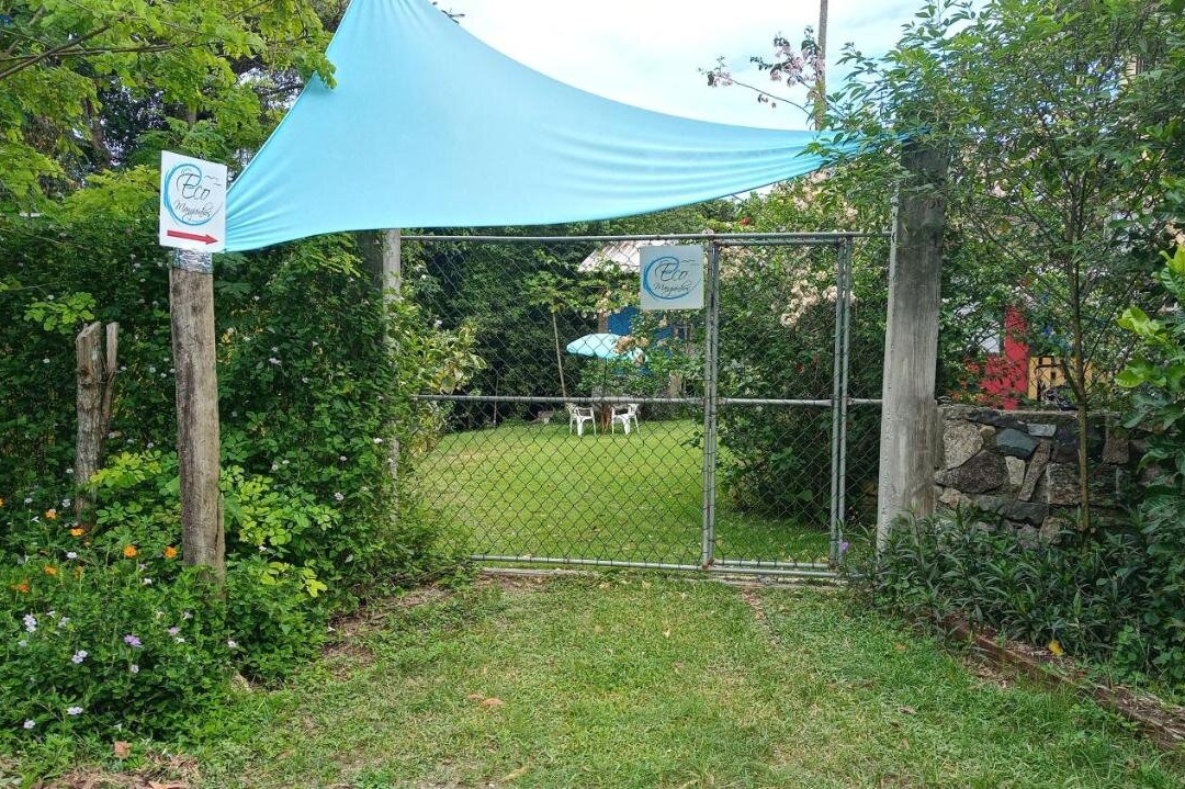 Eco Manguinhos主图