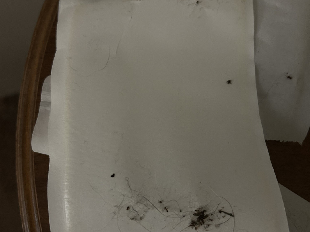 Ramada by Wyndham Medicine Hat主图