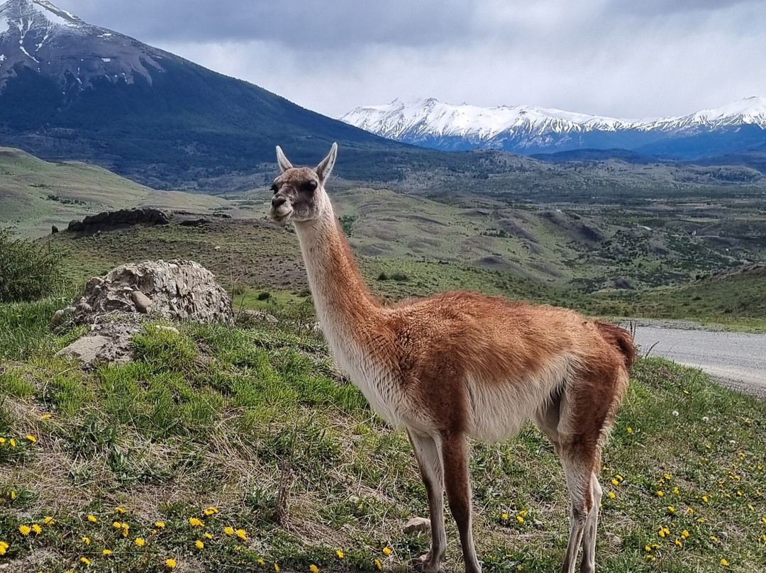 Lago Sofia-纳塔莱斯港必去景点