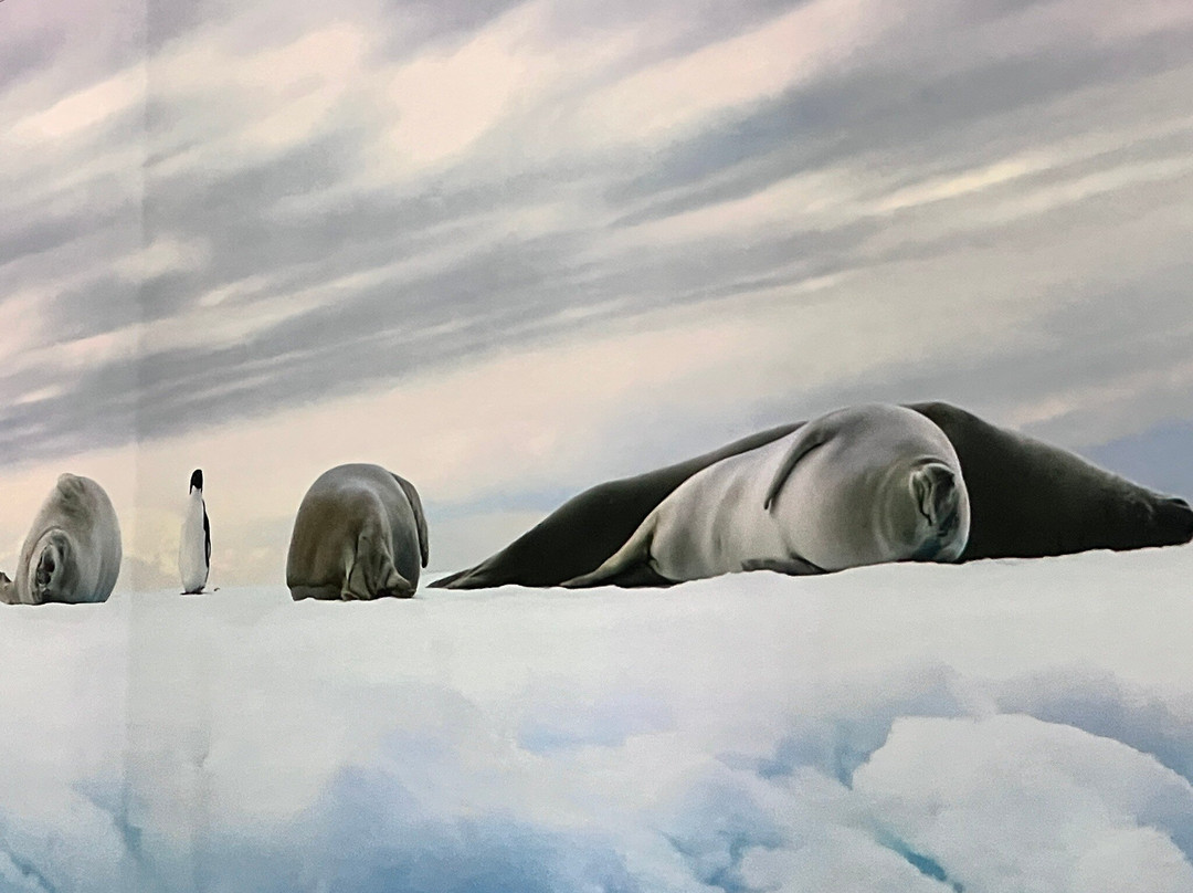 Phoenix des Lumieres-多特蒙德必去景点