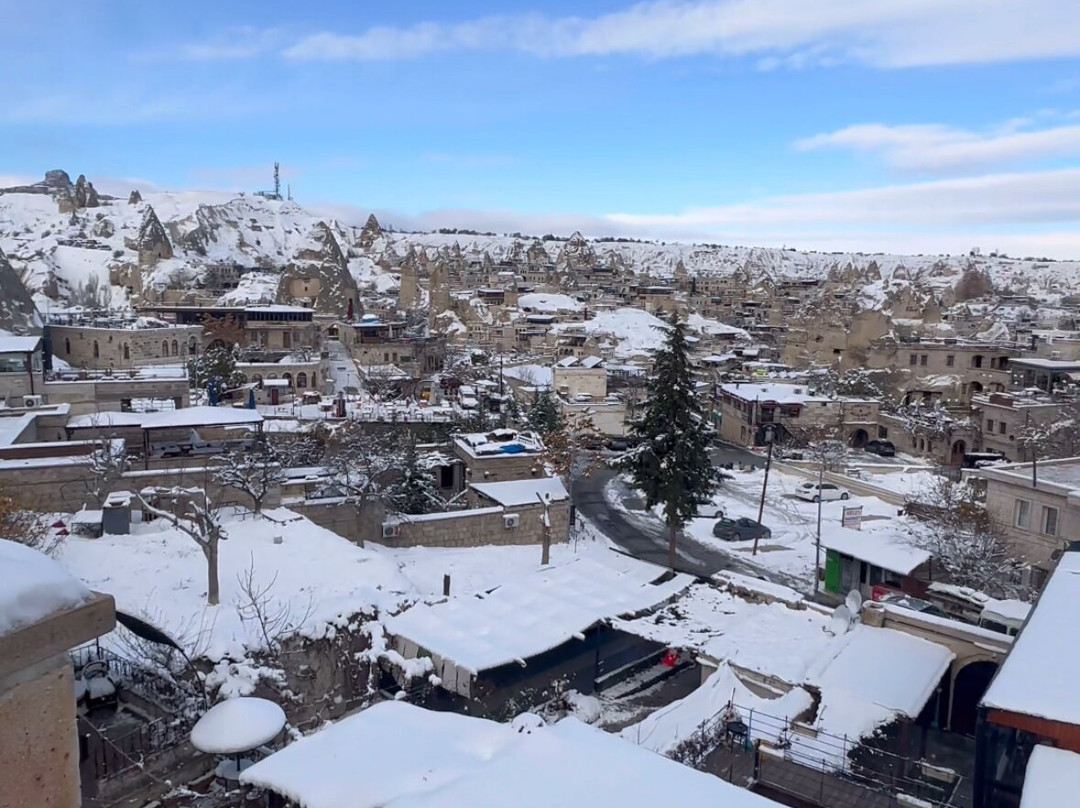 猫头鹰洞酒店主图