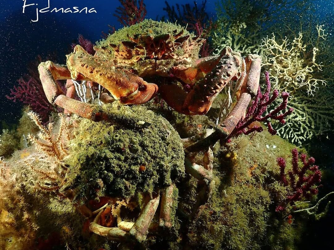 Centro de Buceo Burbujas-Ceuta必去景点