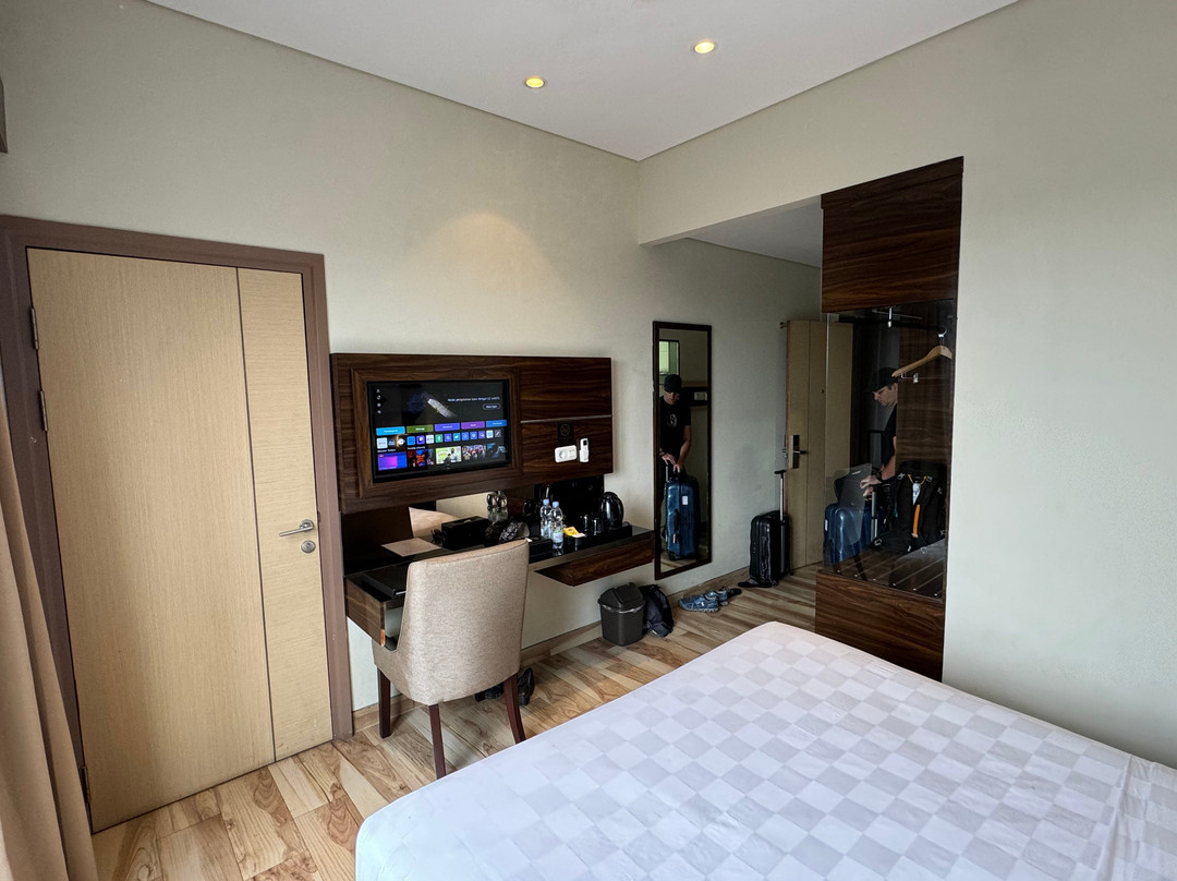 Palmy Exclusive主图