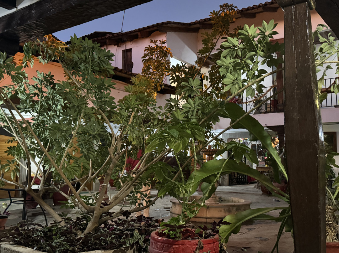 Real Carretero主图