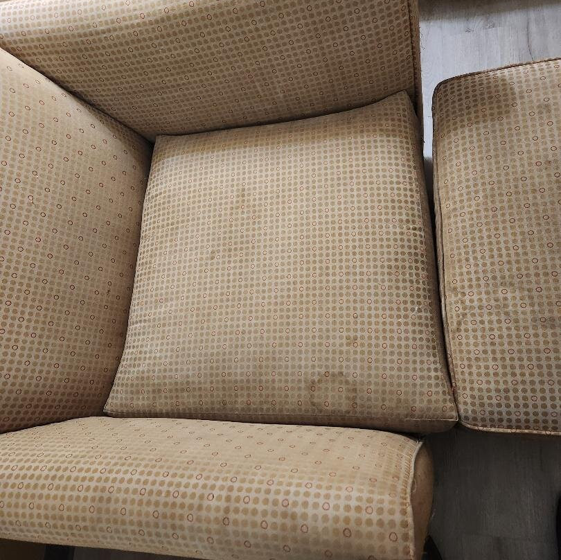 Best Western Inn & Suites of Macon主图