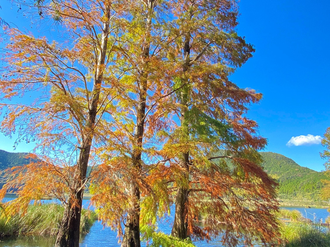 Imuta Pond-萨摩川内市必去景点